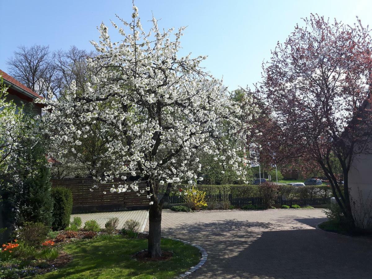 شقة Der Kirschbaumhof Strullendorf المظهر الخارجي الصورة